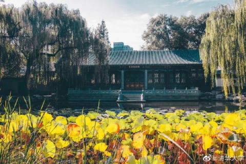 <i>Photo: Tsinghua campus</i> Photo: Tsinghua campus