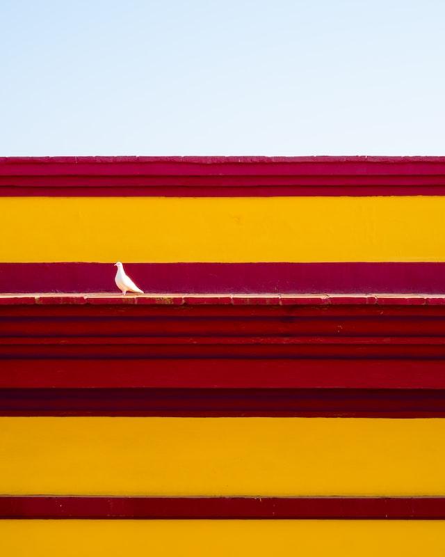 <i>Photo OB OA Unsplash</i> Photo OB OA Unsplash